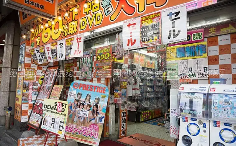 漫蛙网页版